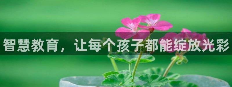 鸿运电商平台茶