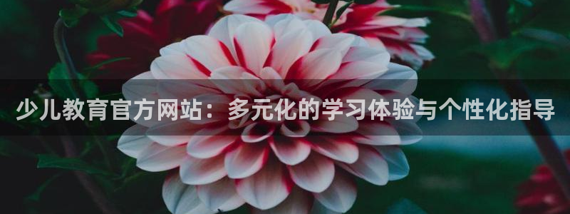 鸿运来手游平台