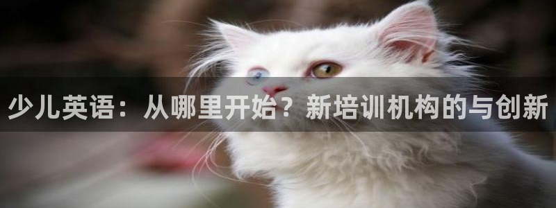 鸿运彩票平台下载