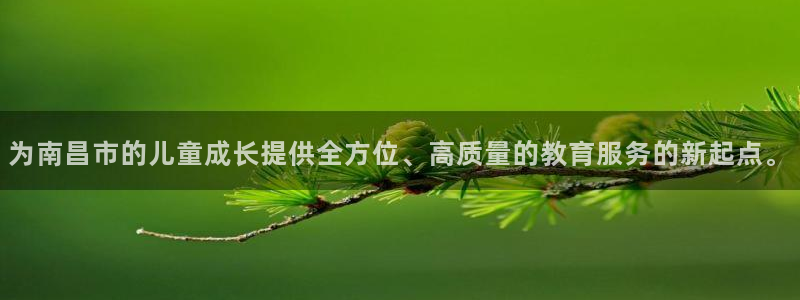 鸿运通贷款平台