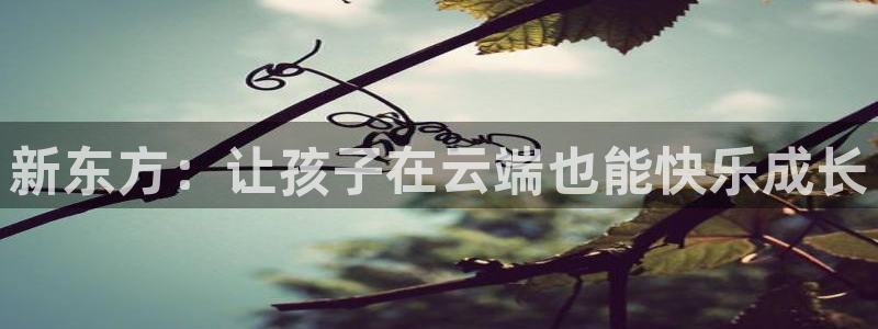 九九鸿运平台