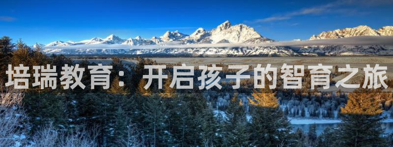 正规鸿运国际平台