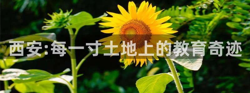 鸿运对战平台