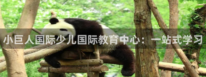 鸿运阿姨直播平台