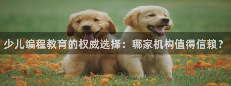 鸿运平台骗局曝光案例