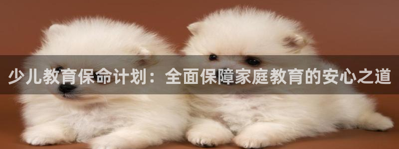 鸿运牛骨服务平台