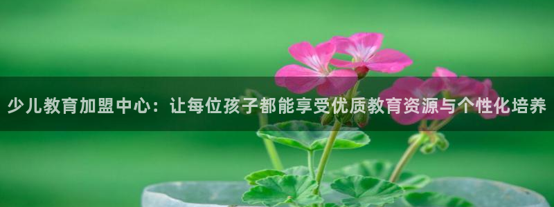 鸿运链锁管理平台