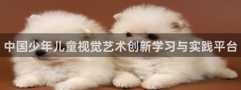 鸿运国际网址平台