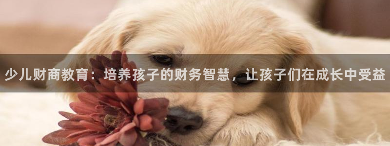 鸿运汽车团购平台