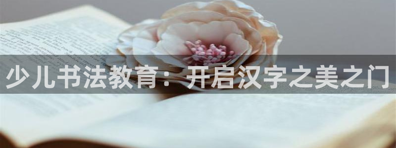 鸿运团队赚钱平台