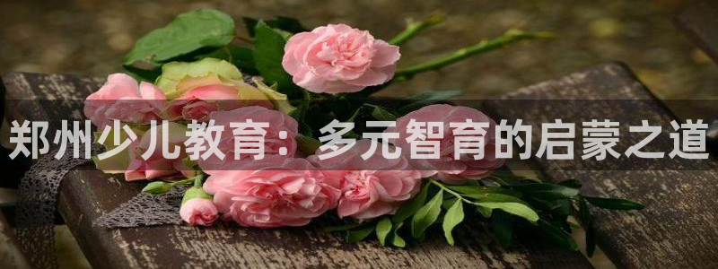 鸿运平台进入登录界面