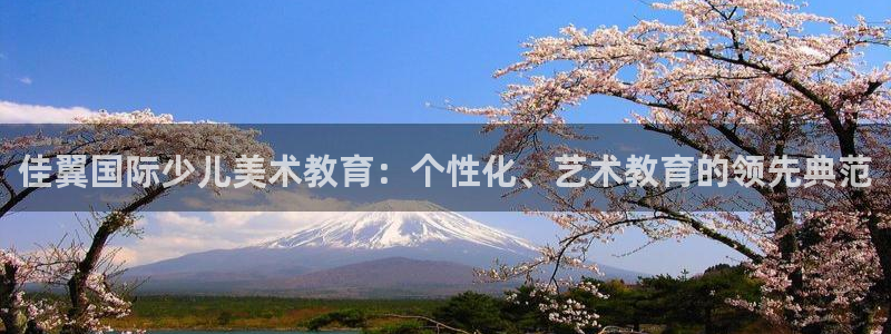 琥珀鸿运是怎样的平台