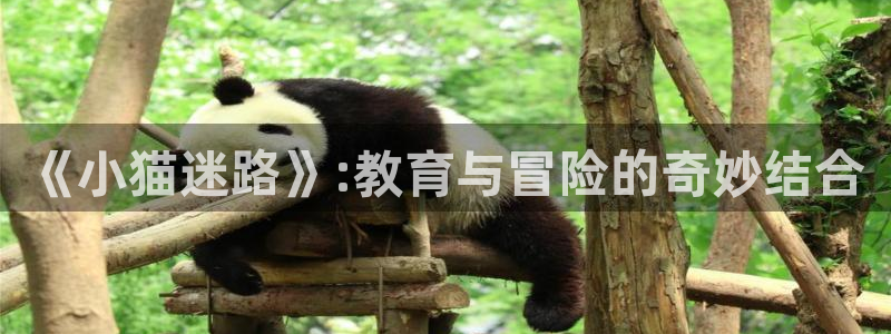 鸿运集团平台招聘要求