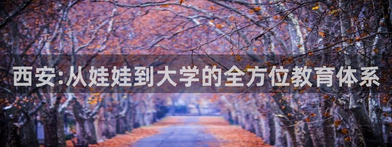 鸿运当头平台抽奖