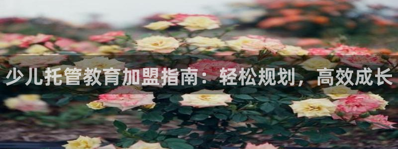 鸿运平台刷投注