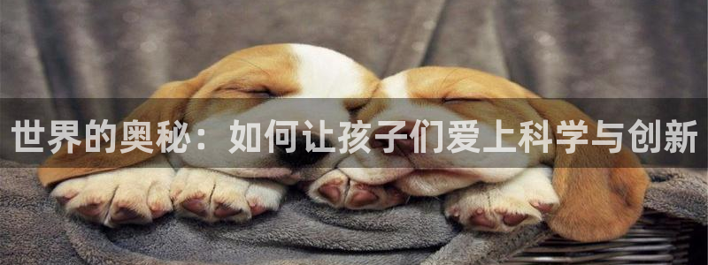 琥珀鸿运平台怎么提现