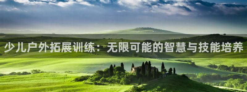 大发云鸿运平台