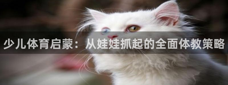 鸿运阿姨直播平台