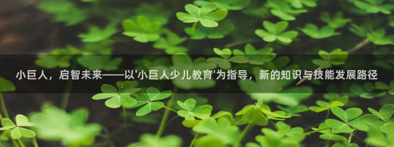 鸿运到平台在线客服