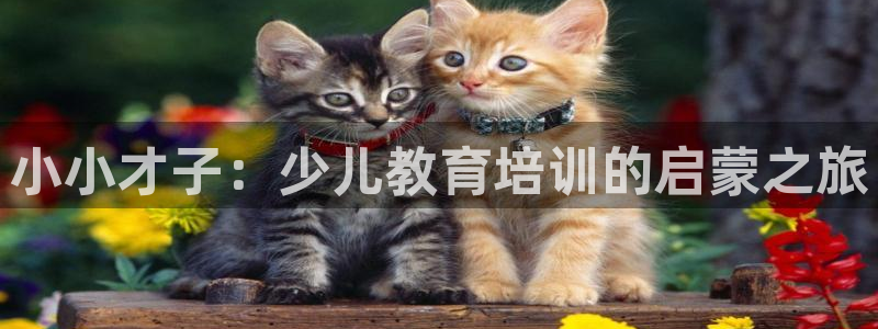 鸿运借款平台正规吗