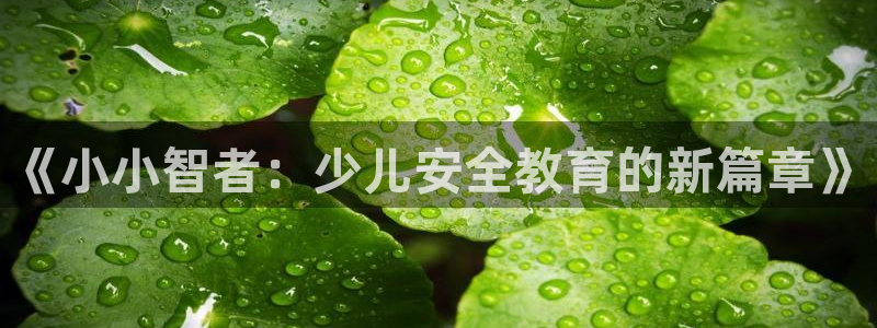 鸿运策略股票平台骗局