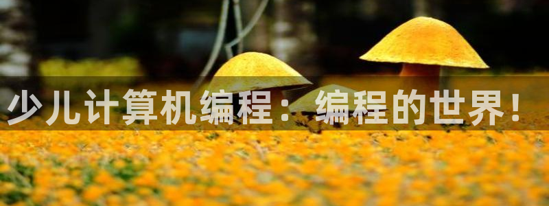 鸿运注册平台闪电