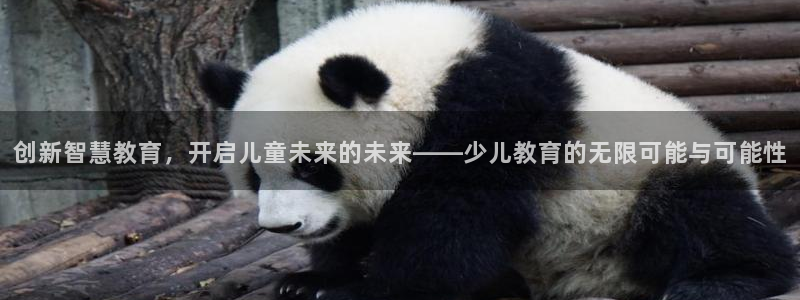 鸿运平台代理理