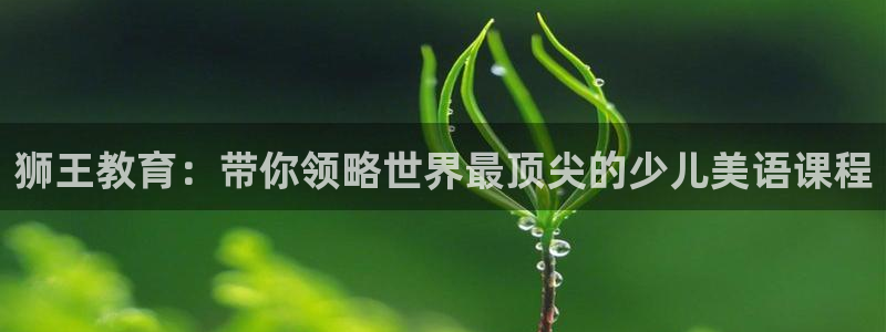 鸿运防水服务平台