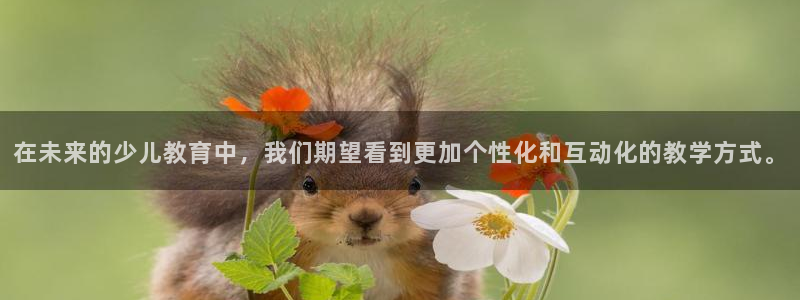 鸿运阿姨直播平台