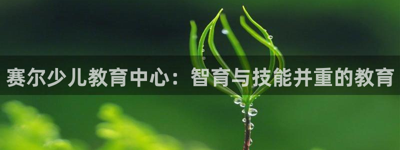 鸿运当头借款平台