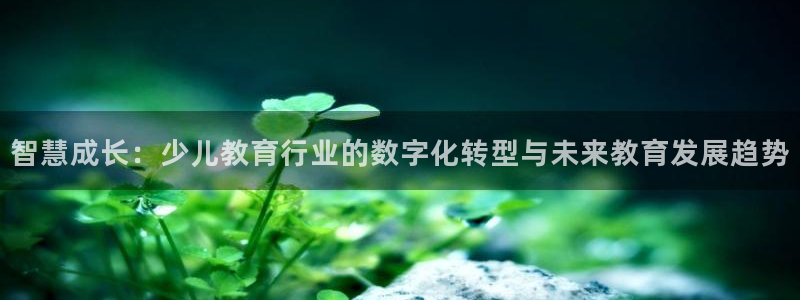 鸿运合拍是什么平台