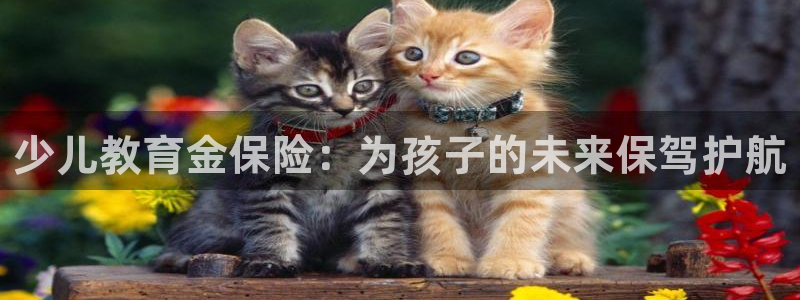 鸿运平台是大平台吗