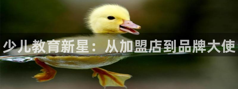 鸿运平台骗局曝光
