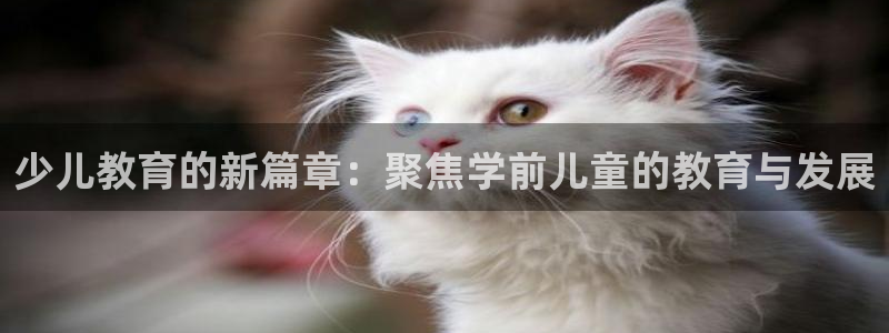 九九鸿运平台
