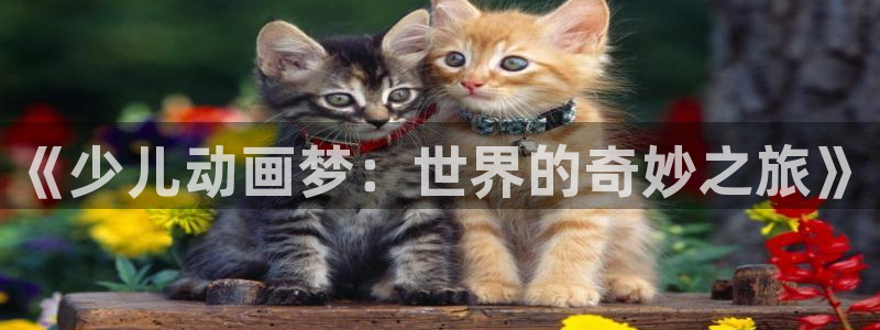 中国鸿运是什么平台