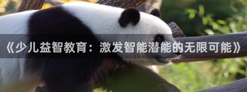 鸿运国际彩票平台