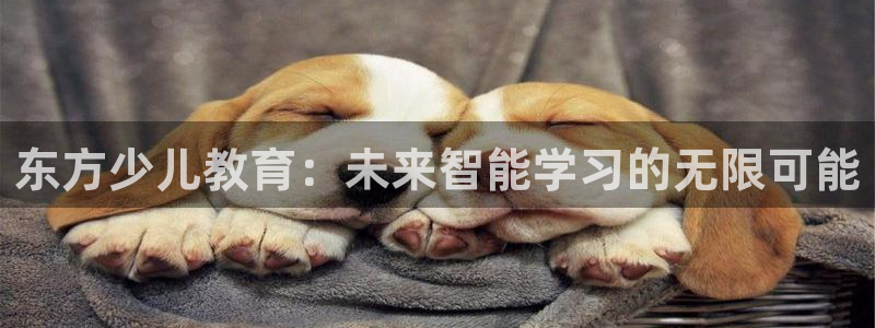 鸿运国际平台咋样