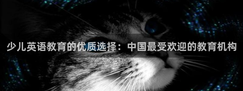 鸿运集团平台