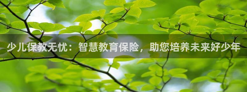 鸿运直播彩票平台