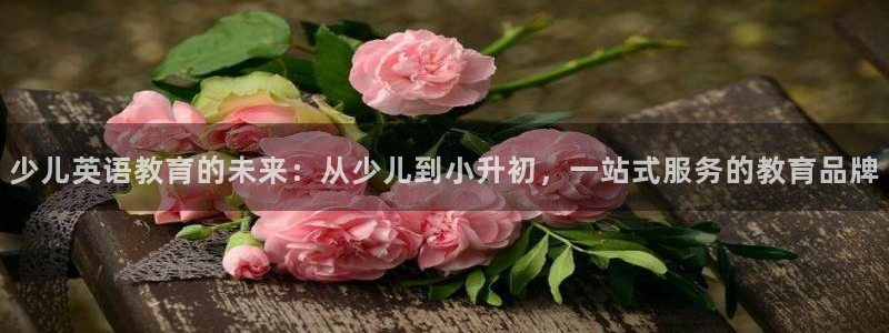 鸿运平台审核需要多久