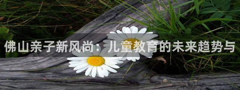 香港鸿运微投资平台