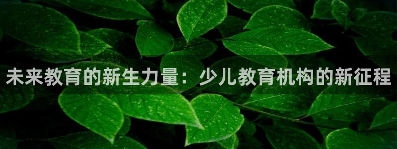 鸿运注册平台是什么